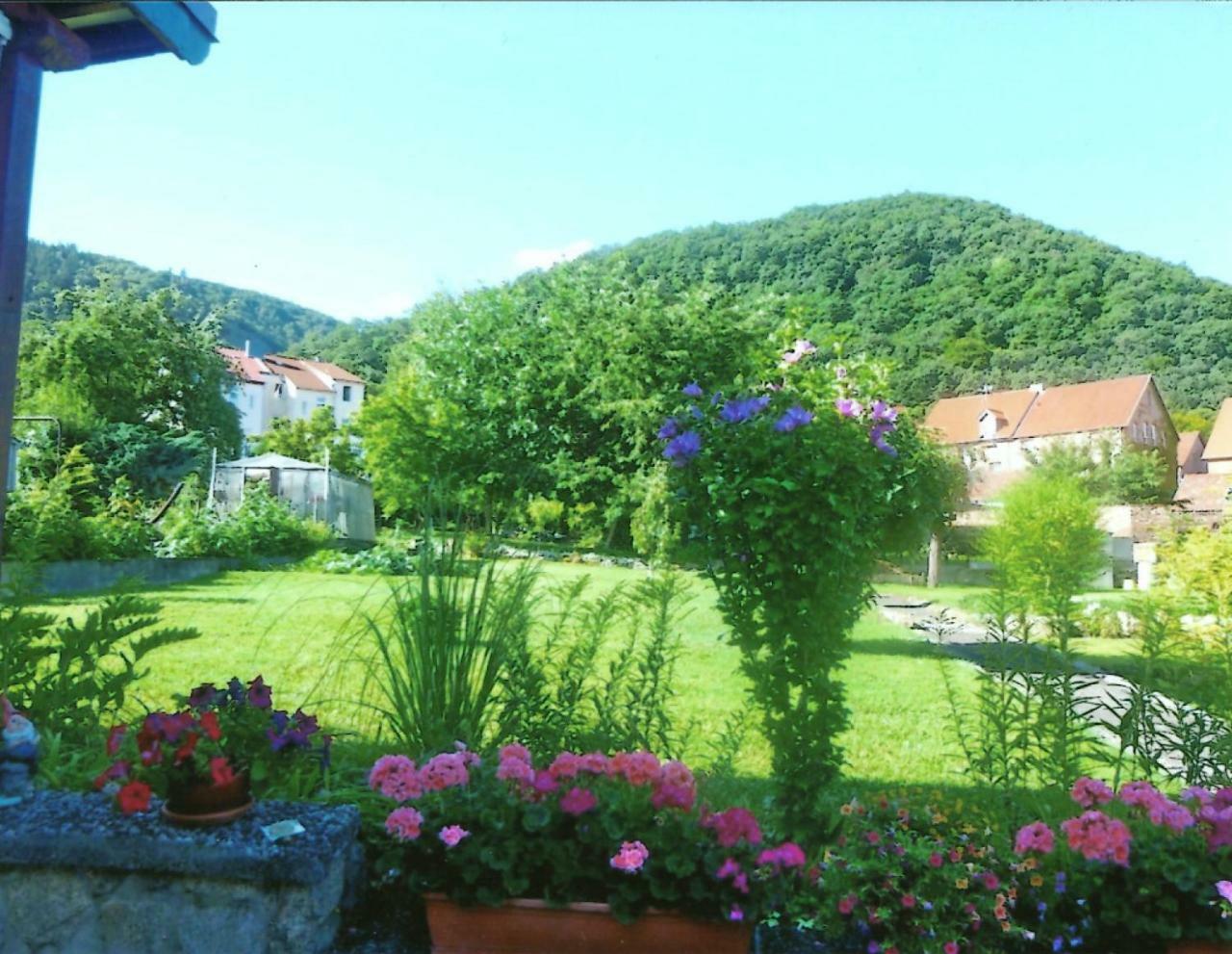 Ferienwohnung Bergblick - Inklusive Bodetal Therme Тале Экстерьер фото